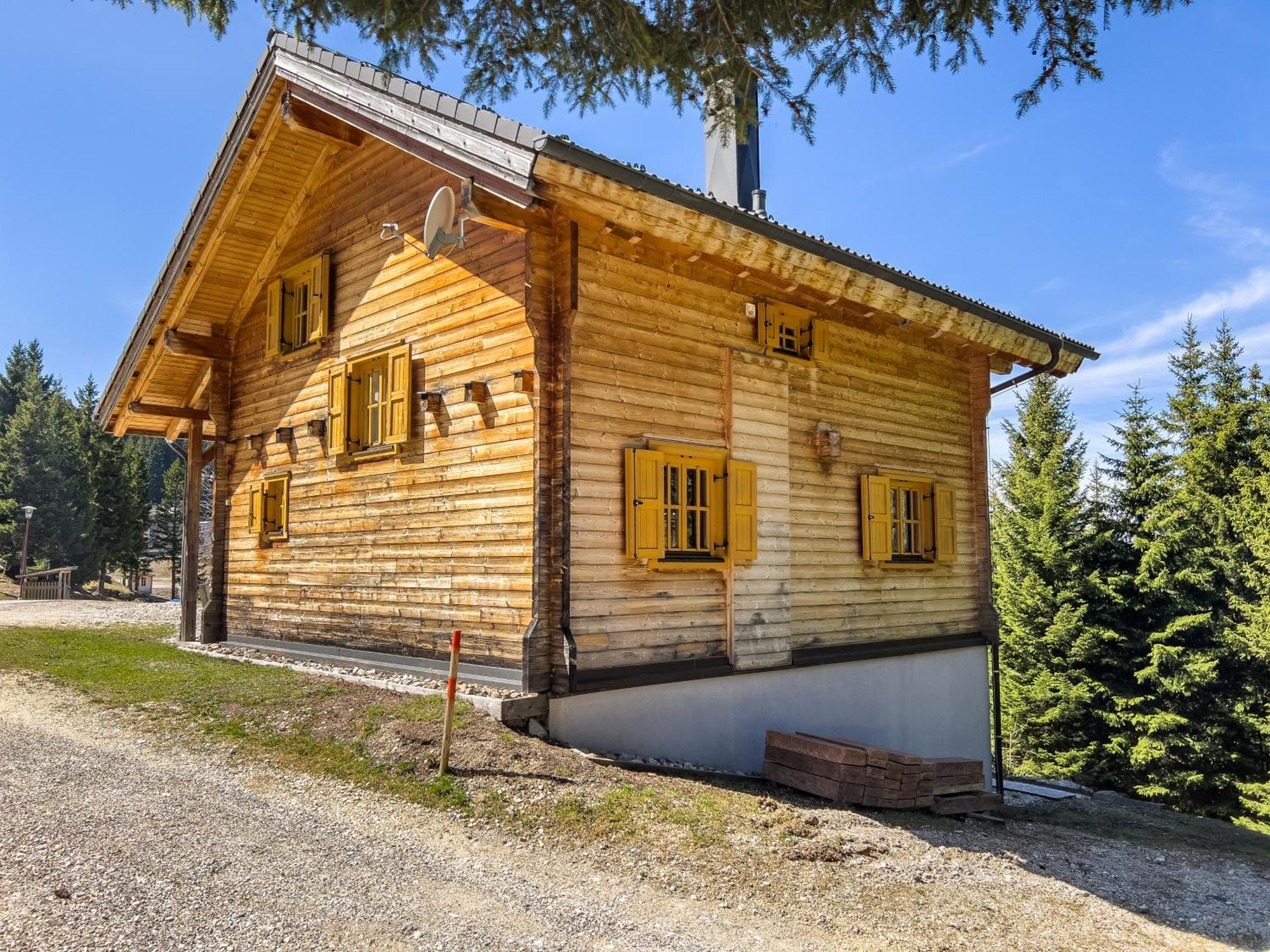 Villa 1A Chalet Enzianhuette - Ski Fahren Und Indoor Sauna à Elsenbrunn Extérieur photo