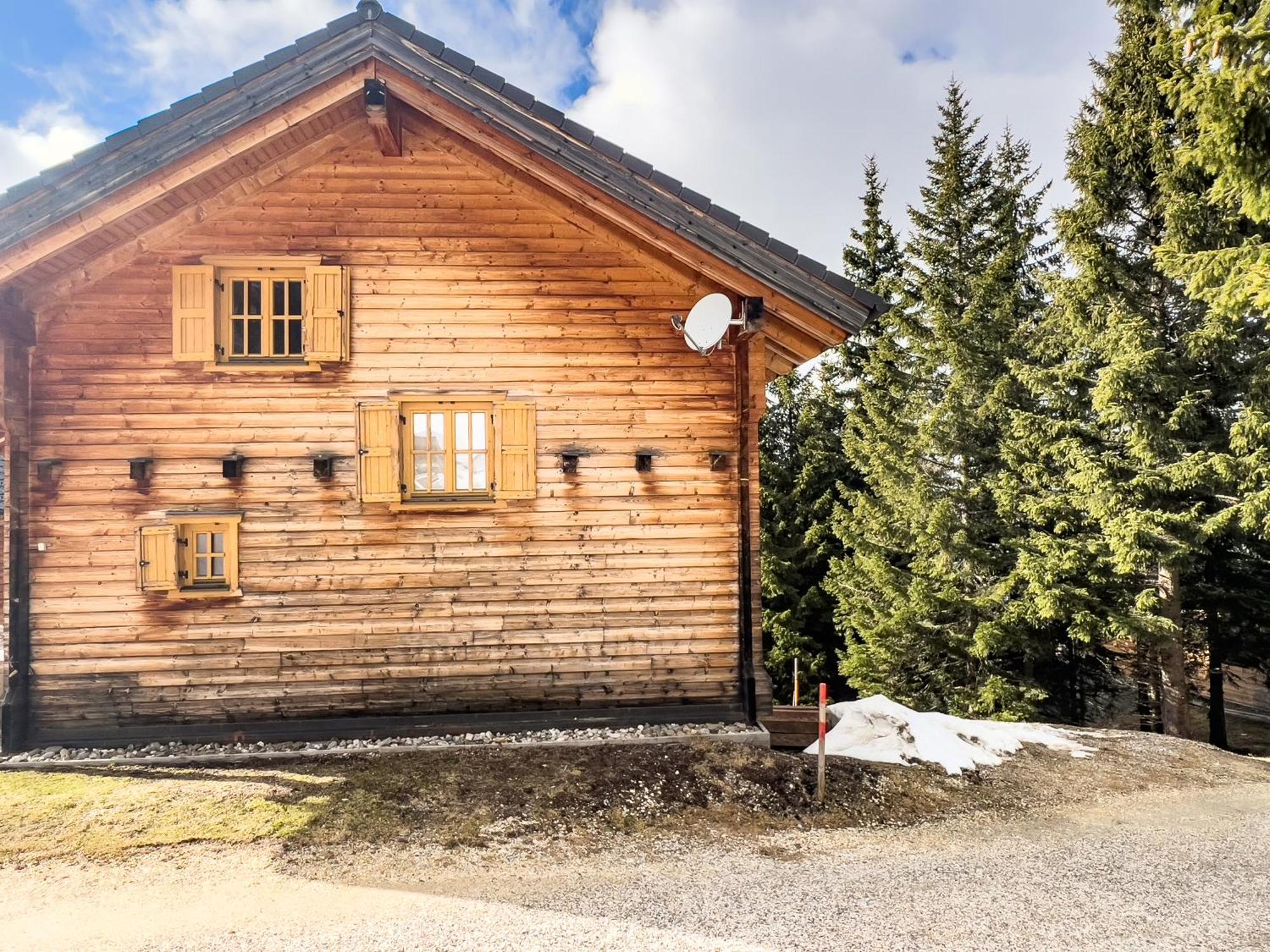 Villa 1A Chalet Enzianhuette - Ski Fahren Und Indoor Sauna à Elsenbrunn Extérieur photo