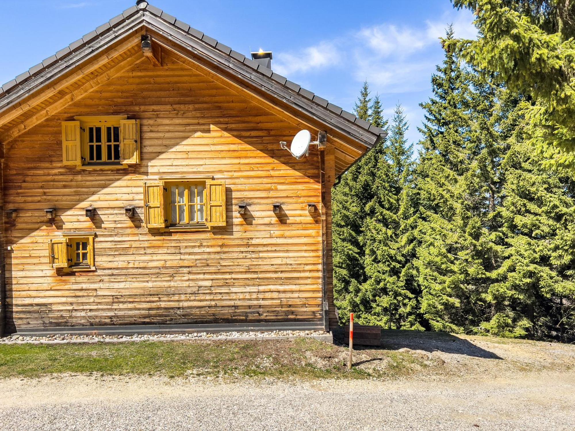 Villa 1A Chalet Enzianhuette - Ski Fahren Und Indoor Sauna à Elsenbrunn Extérieur photo