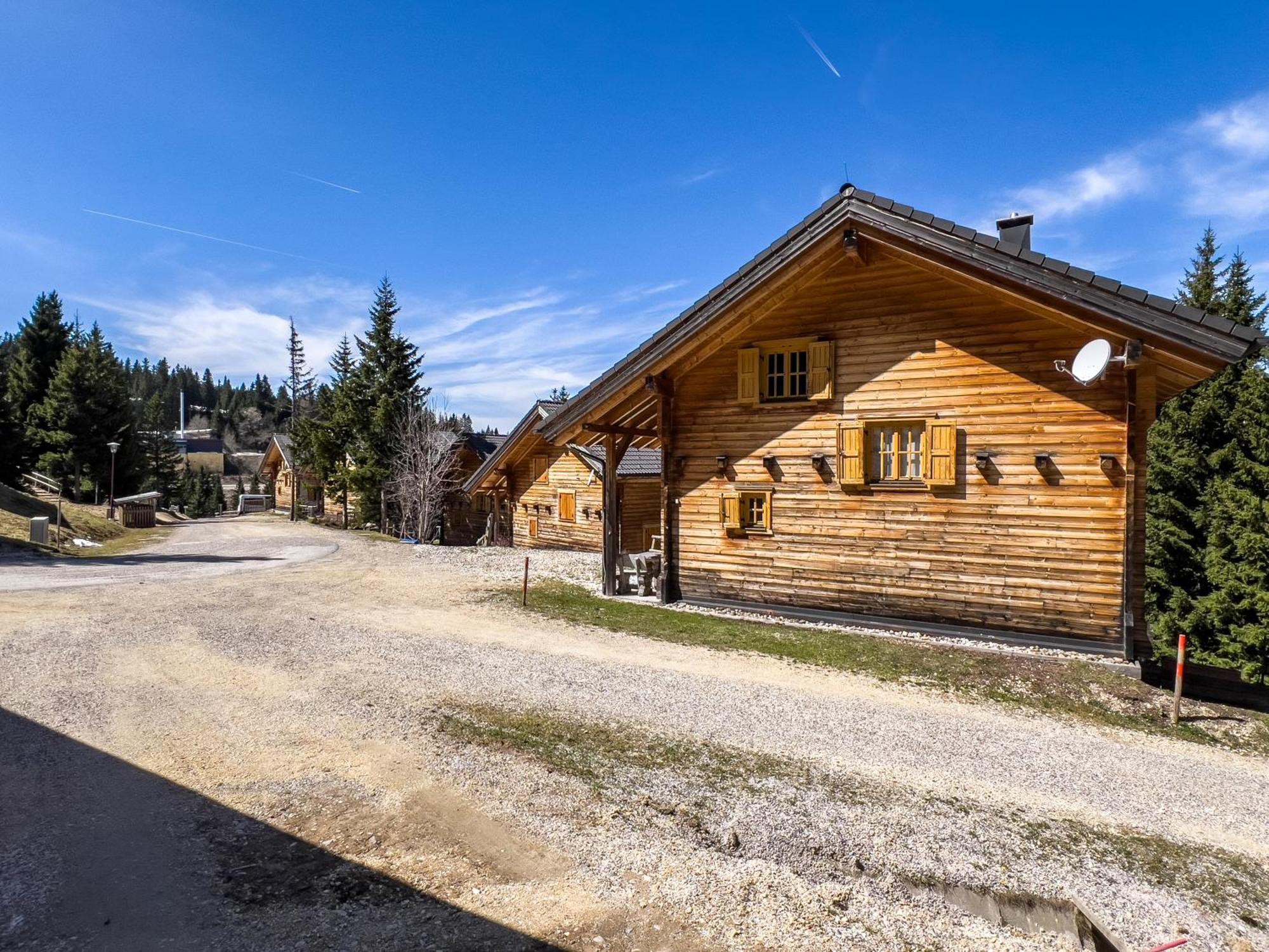 Villa 1A Chalet Enzianhuette - Ski Fahren Und Indoor Sauna à Elsenbrunn Extérieur photo